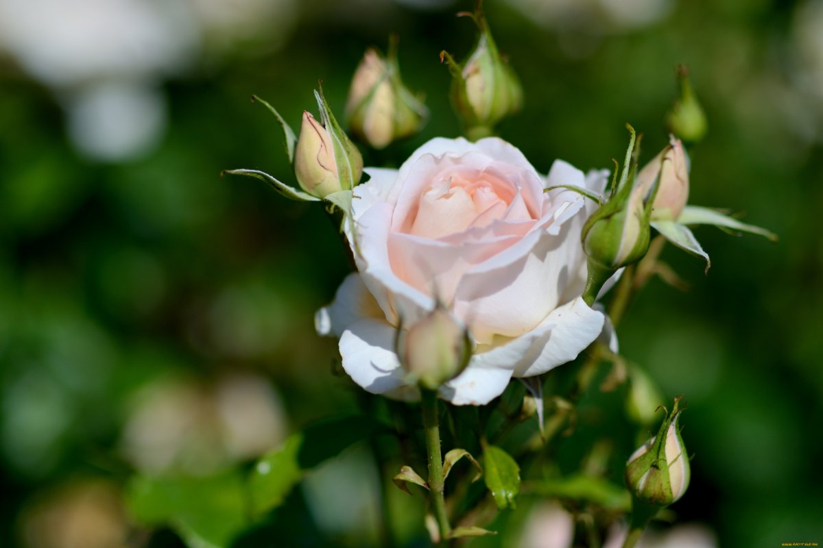 Искренне благодарю вас