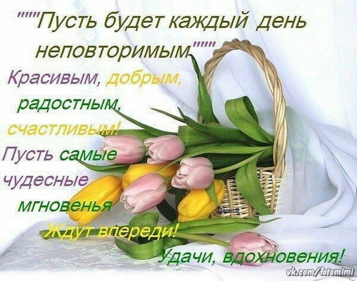 Удачного дня и здоровья