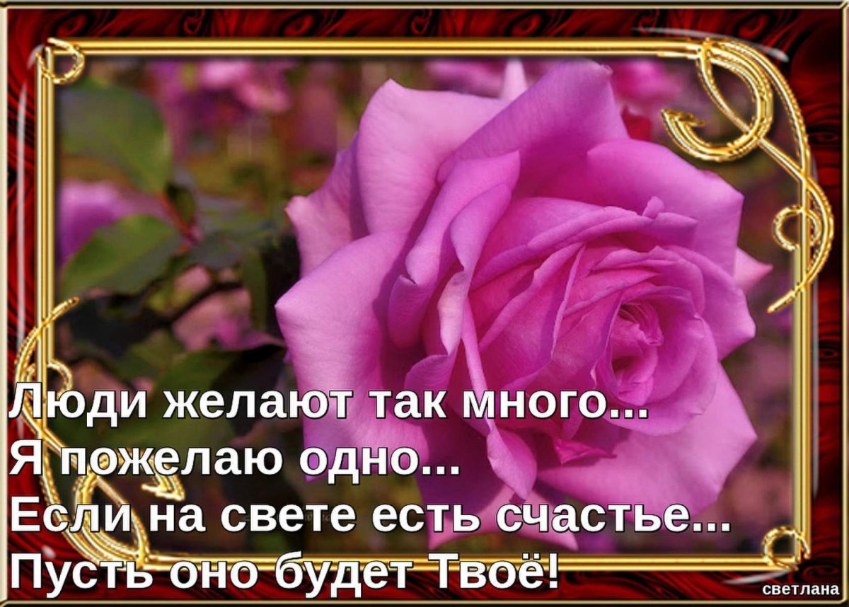 Добрые пожелания и высказывания