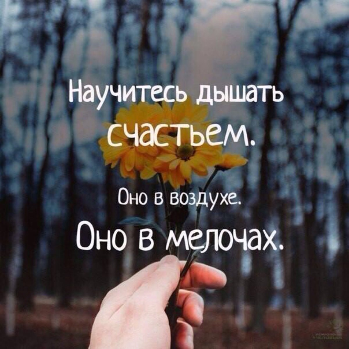 Счастья тебе