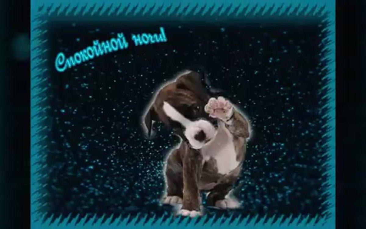 Спокойной ночи Слава