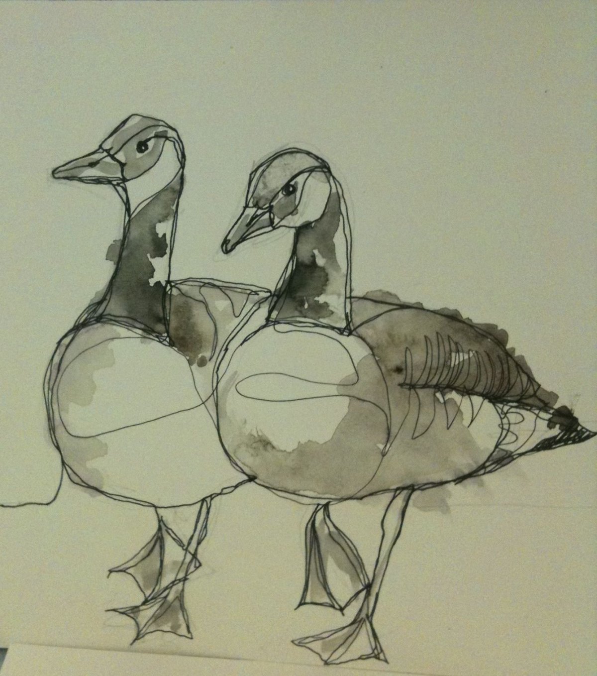 Зарисовка утки