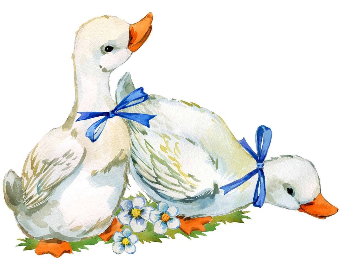 Гусь с бантом