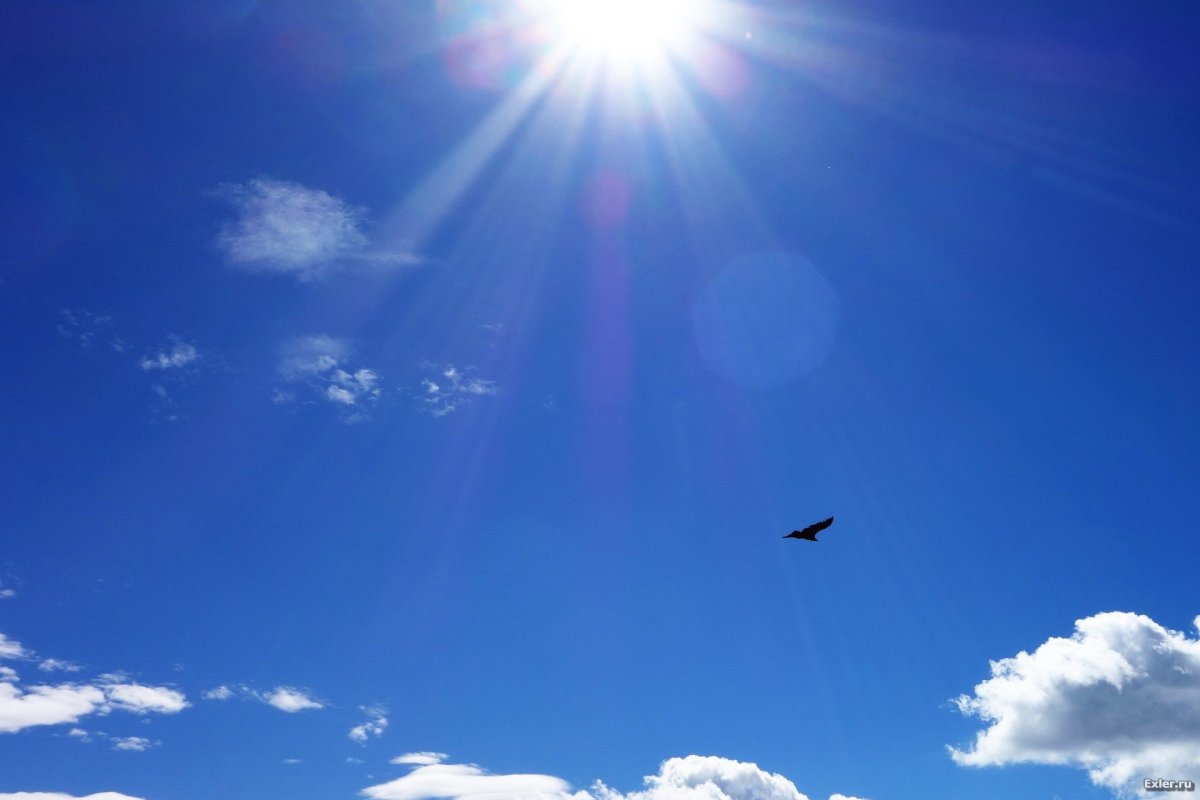 Небо высоко