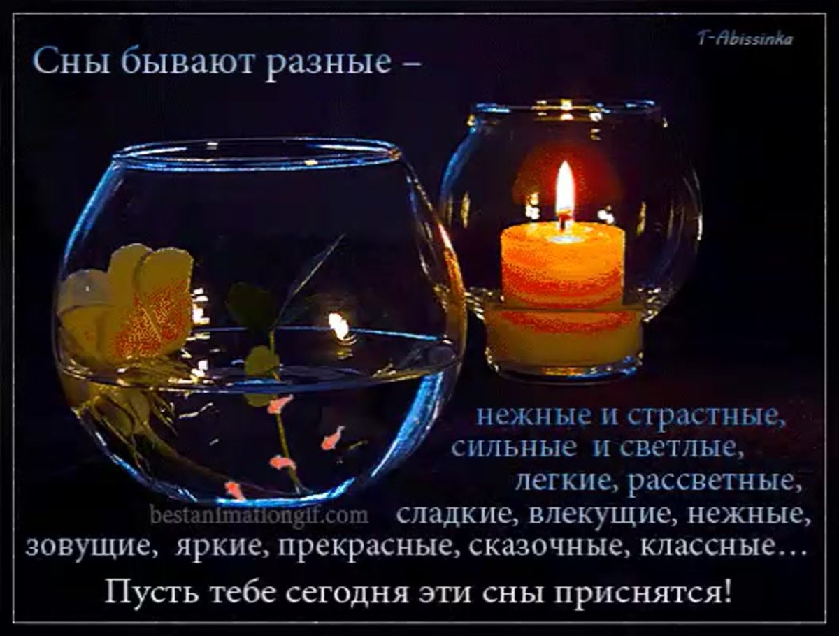 Цветы с пожеланием доброго вечера