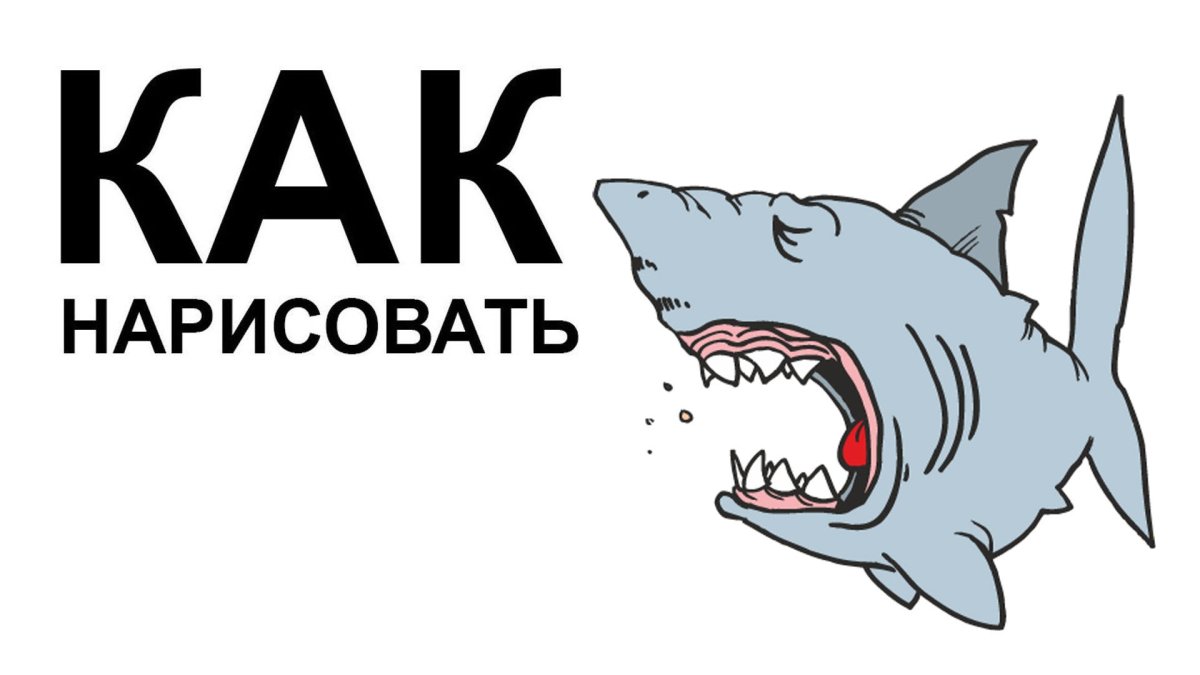 Акула символ