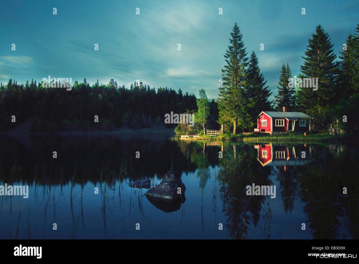 Дом в лесу у озера Норвегия