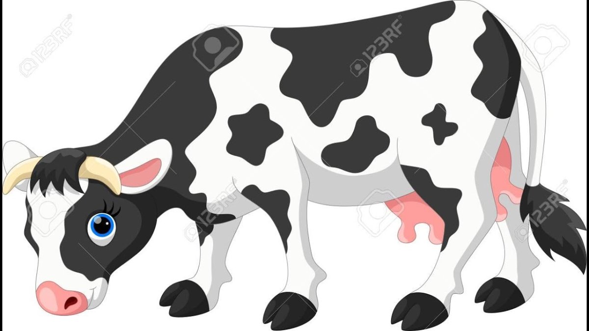 Корова на белом фоне мультяшный