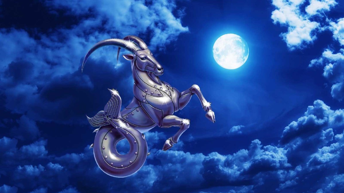 Знаки зодиака. Козерог