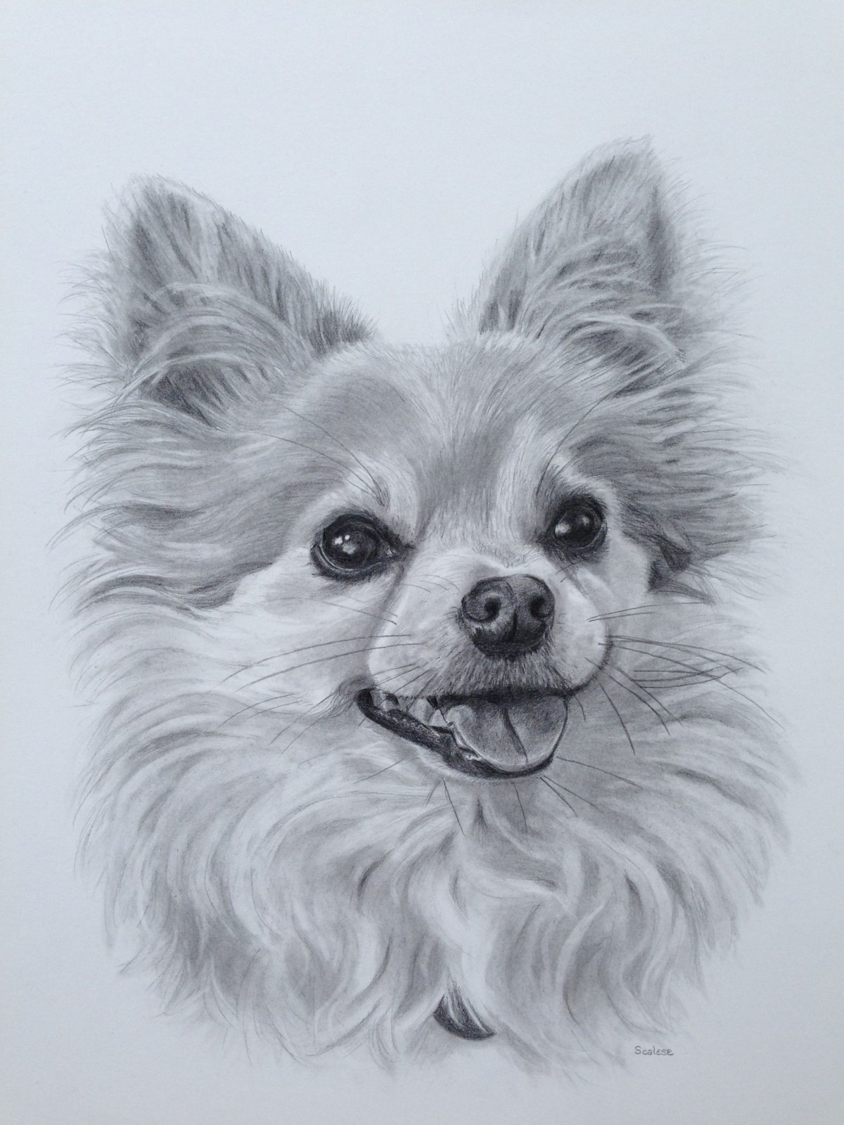 Собака карандашом