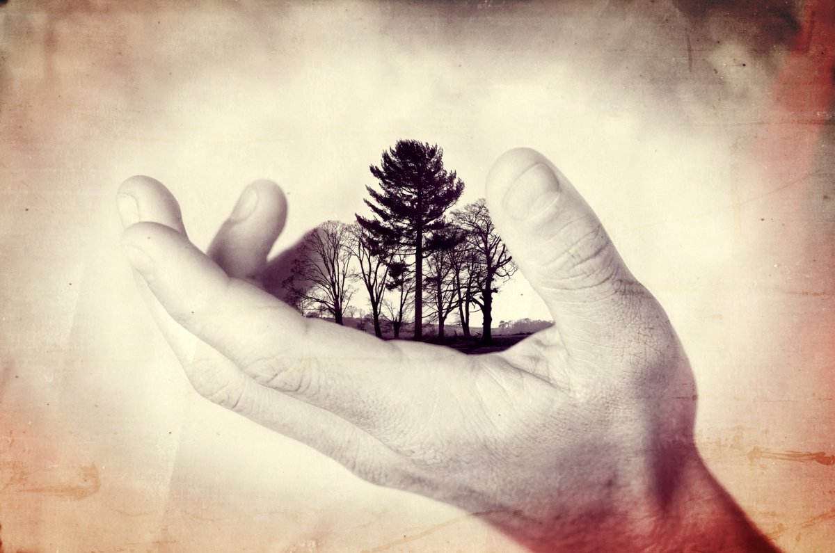 Ладонь рисунок