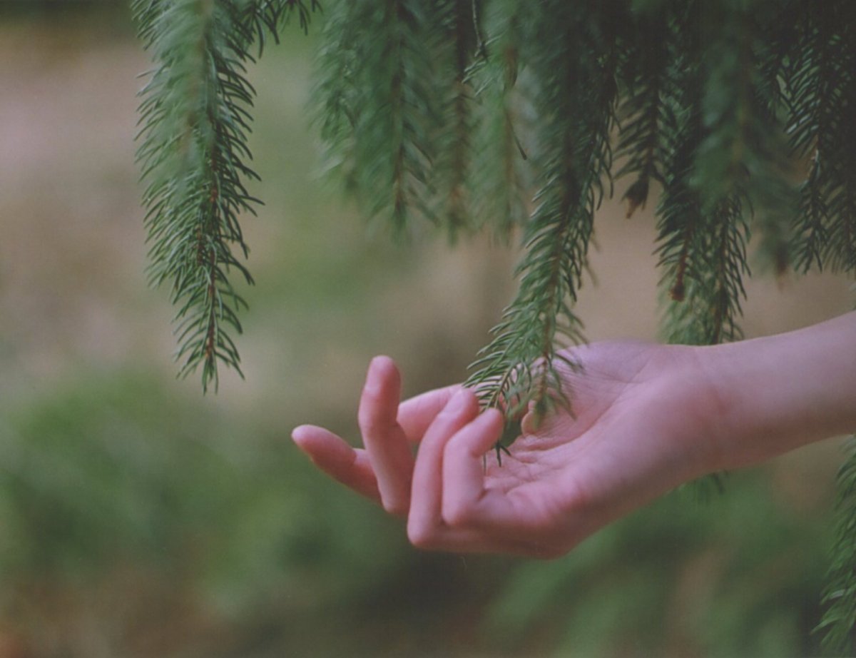 Эстетика руки лес