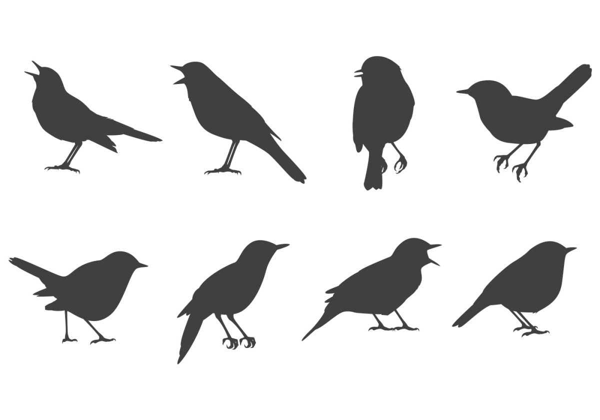 Силуэты зимующих птиц