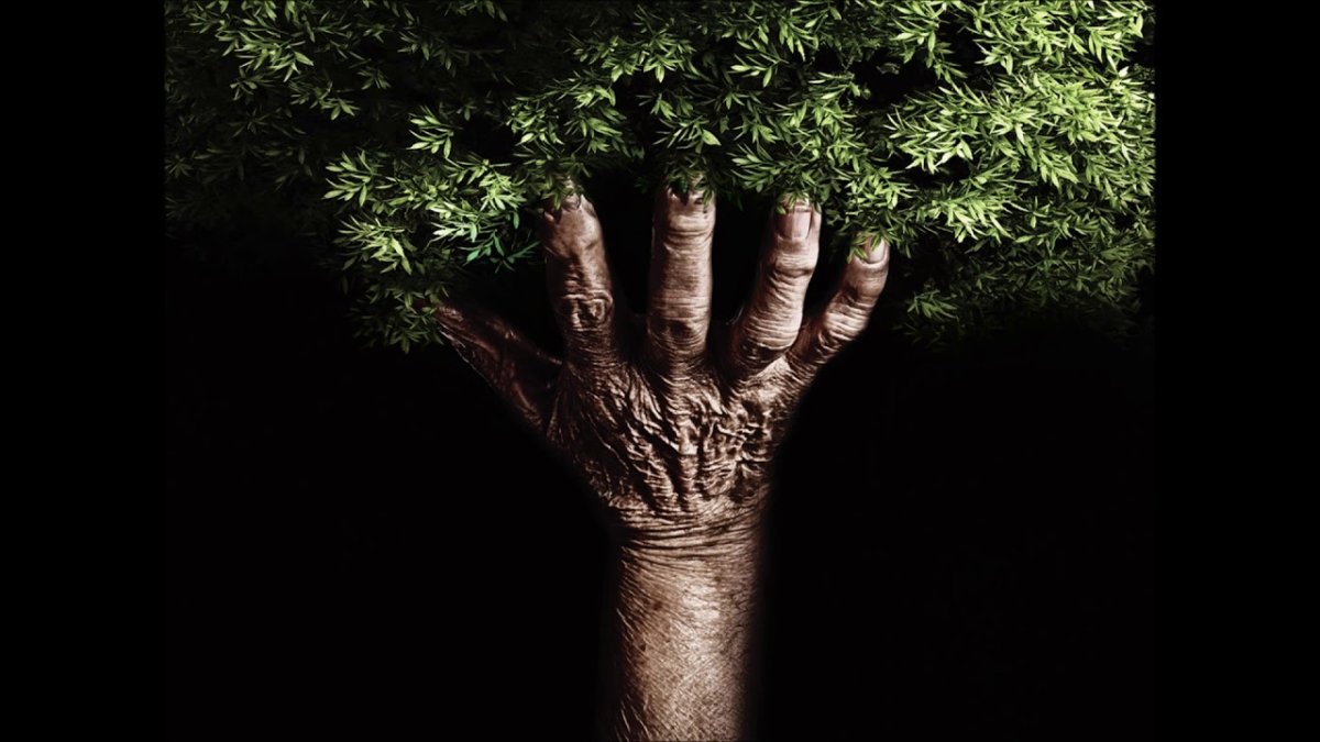 Дерево в руках