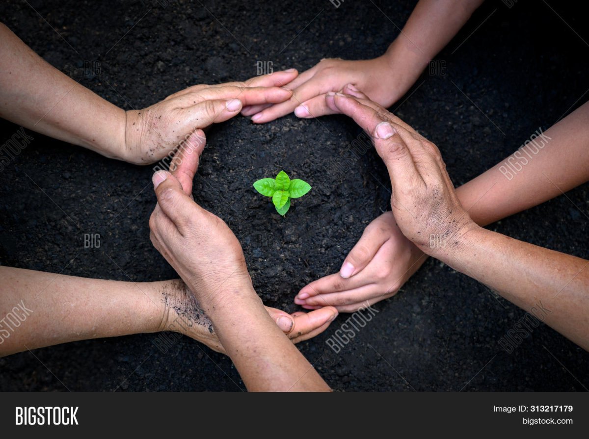 Земля с деревом в руках