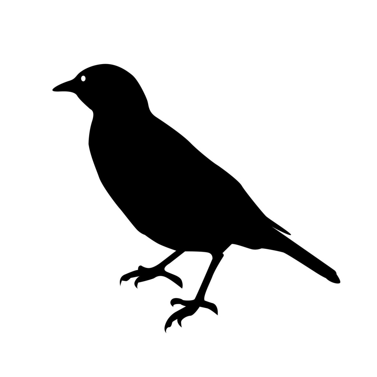 Шаблон птицы