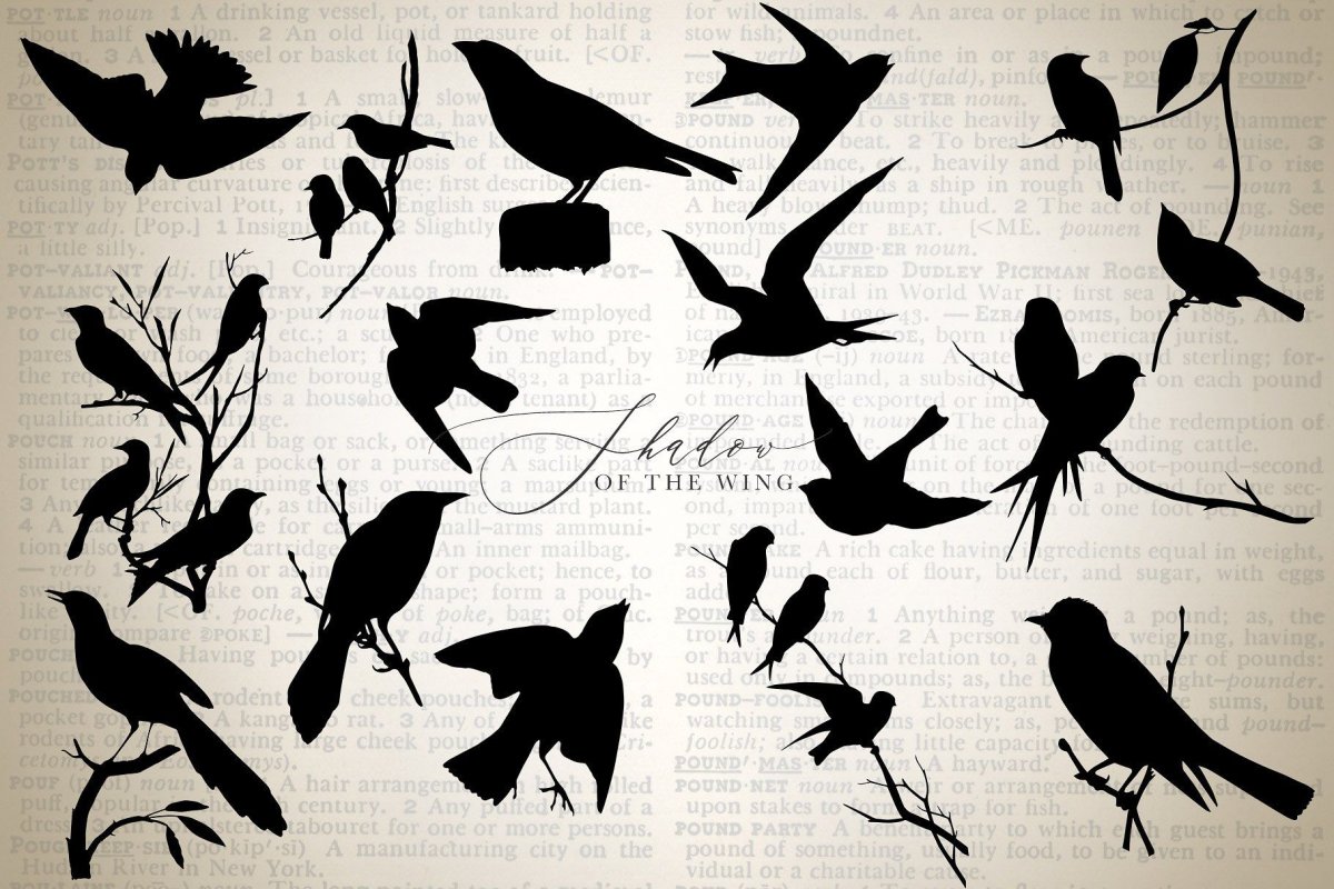 Силуэты разных птиц