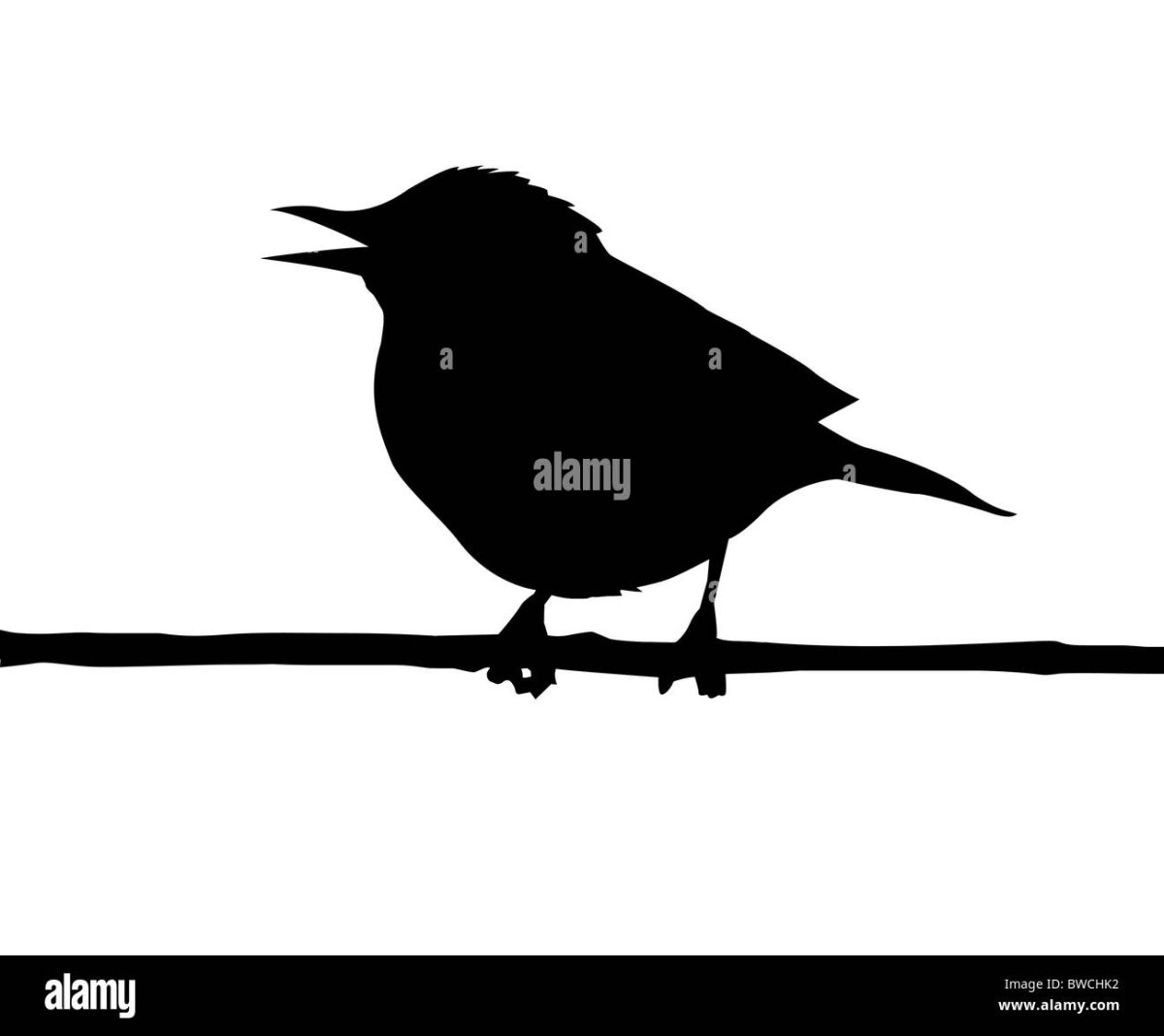 Силуэт птицы скворец