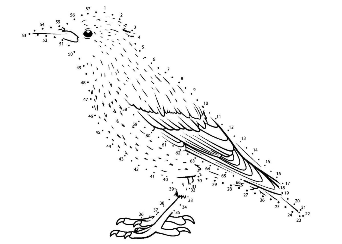 Скворец раскраска