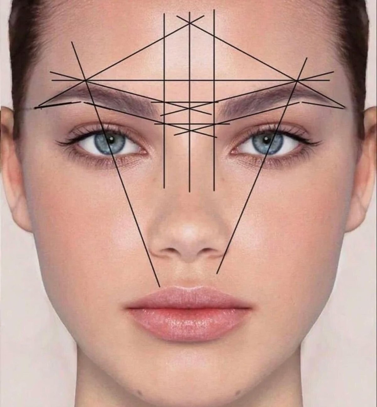Пропорции лица