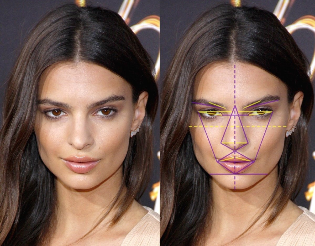 Анджелина Джоли симметрия лица