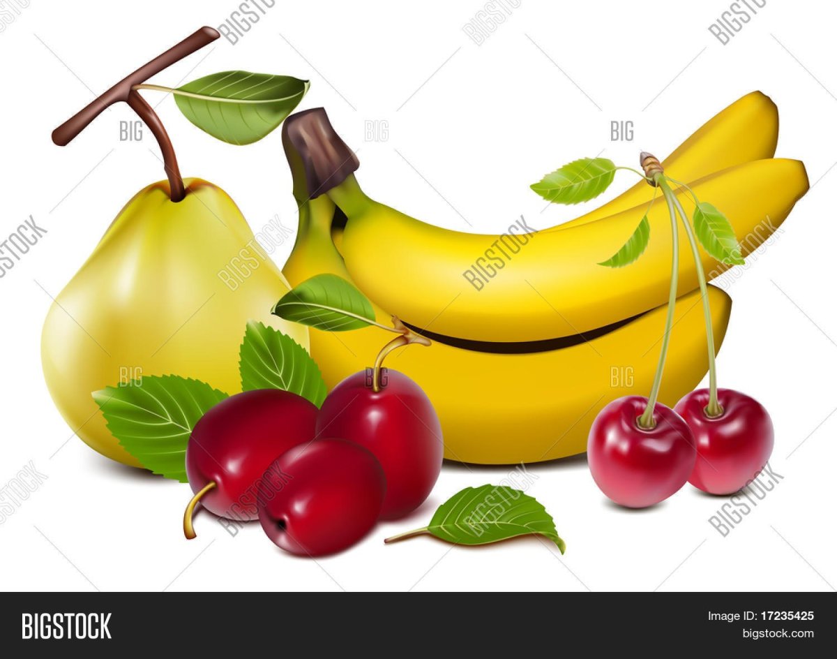 Фрукты вектор