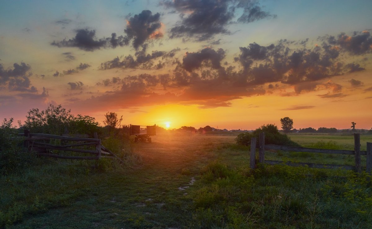 Рассвет в деревне летом