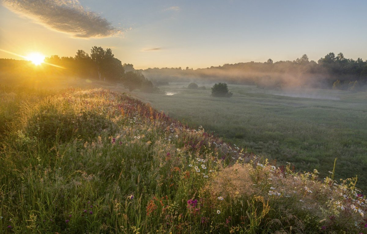 Поле деревня