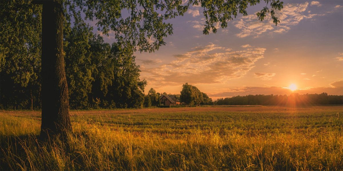«Деревня на берегу реки. Вечер», 1905