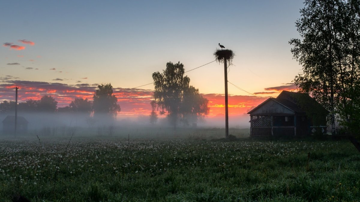 Лето в деревне