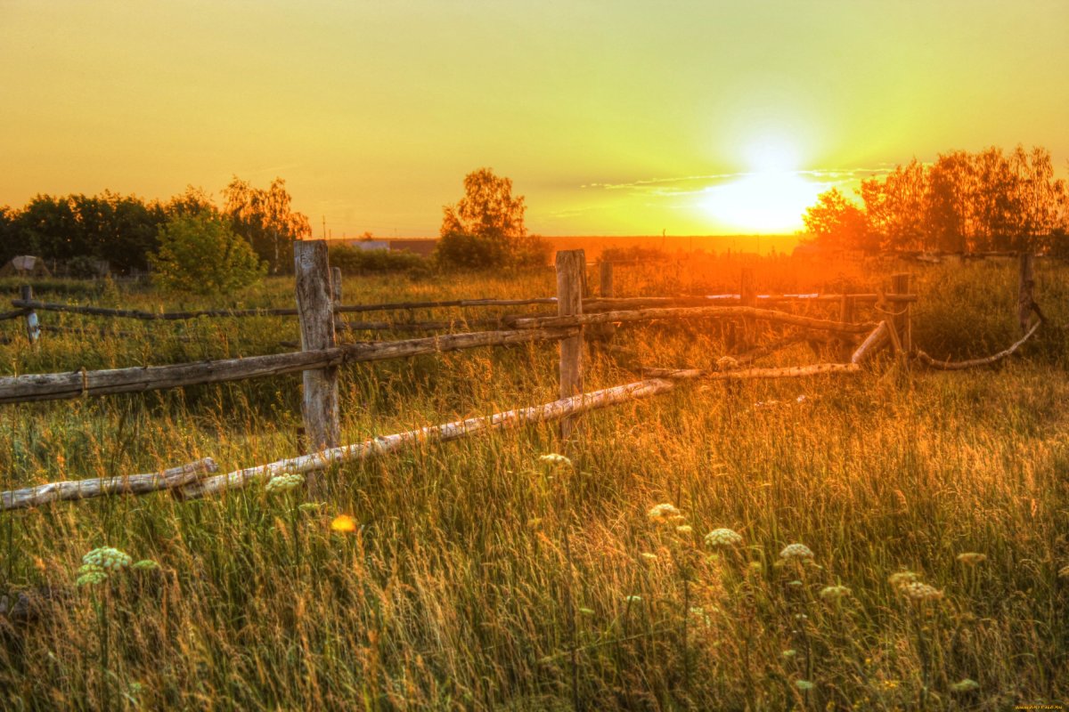 Новая жизнь природа фото