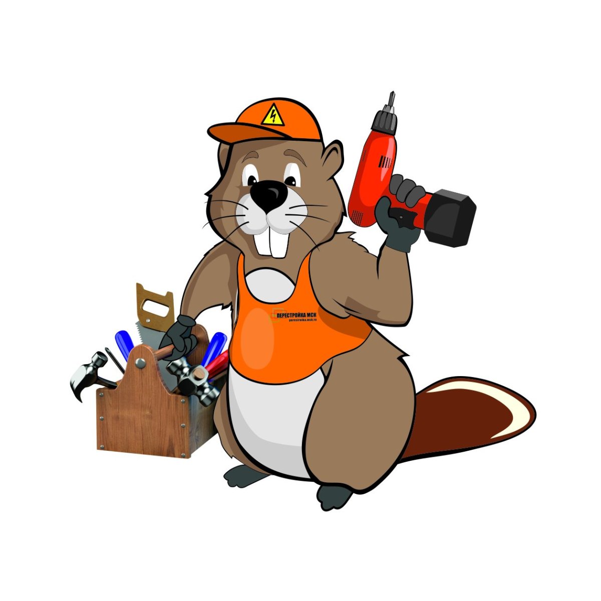 Бобры строители