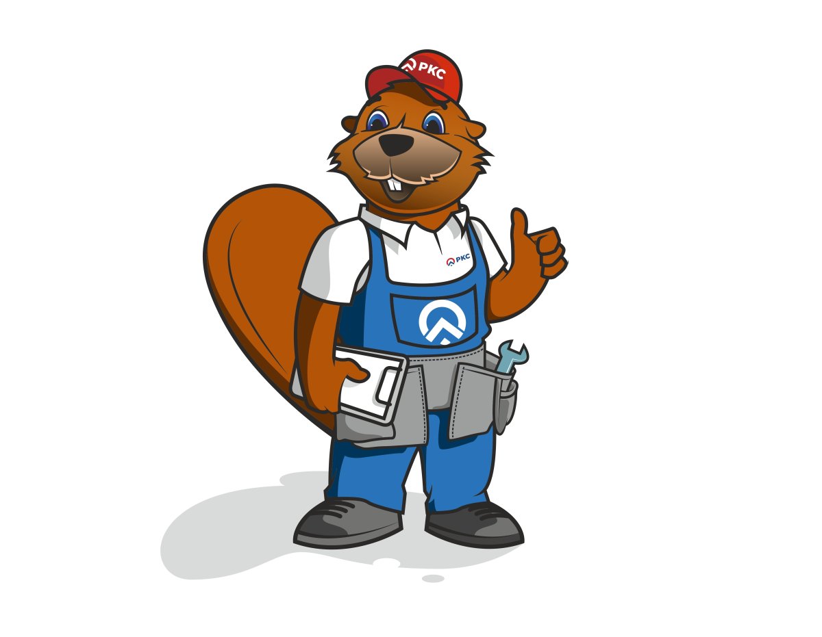 Бобры строители