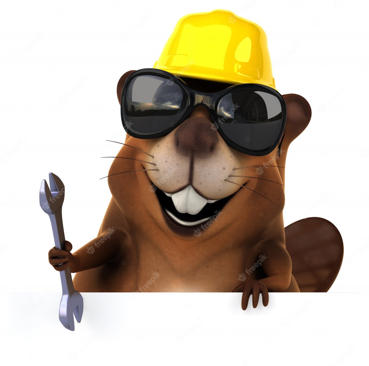 Бобёр в солнцезащитных очках