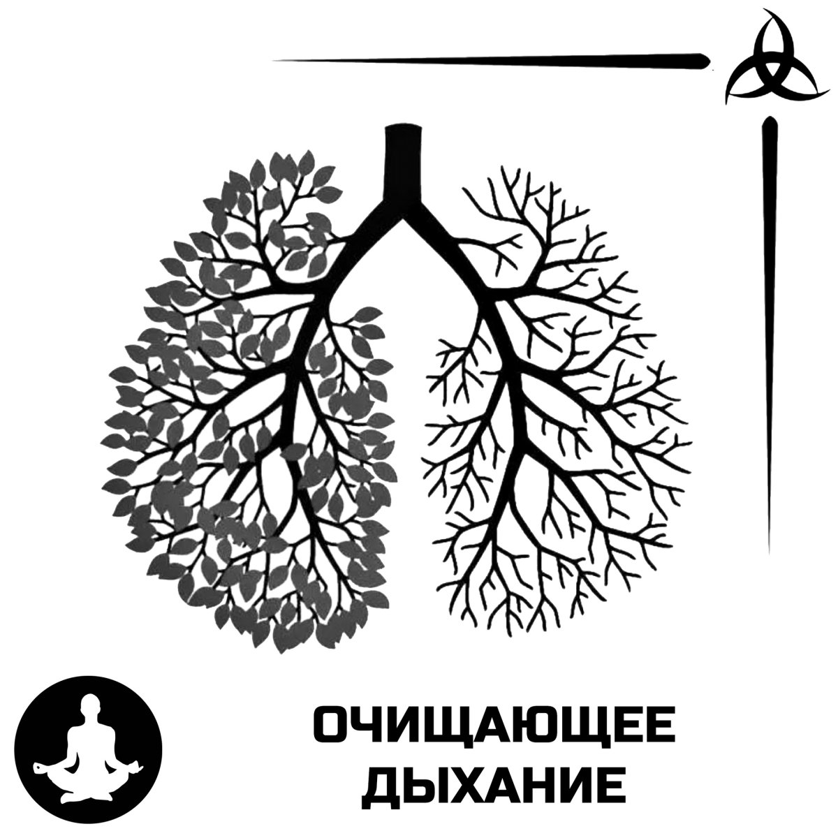 Лес легкие планеты
