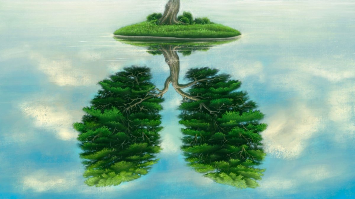 Планета с деревьями