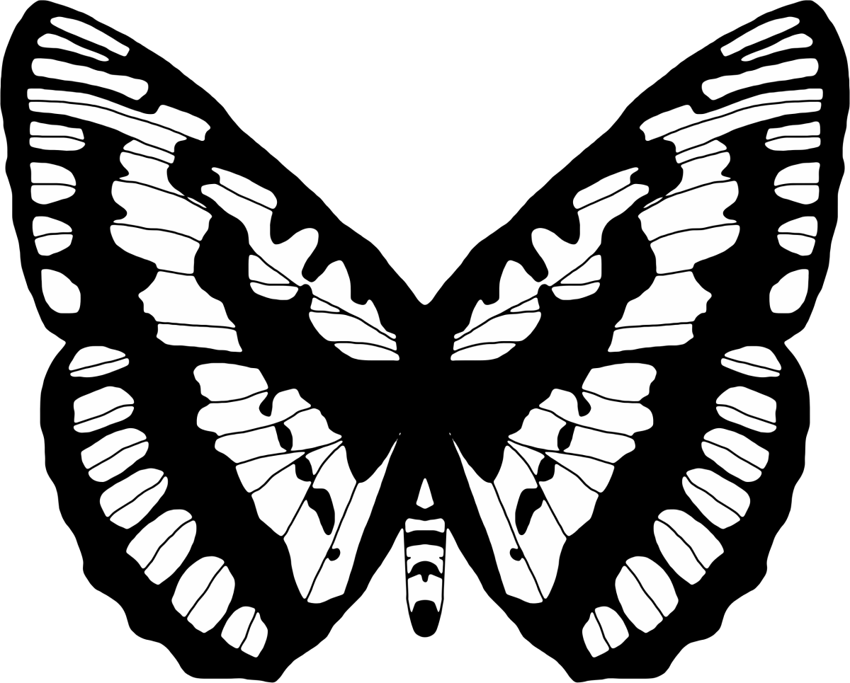 Вайт Баттерфляй (White Butterfly