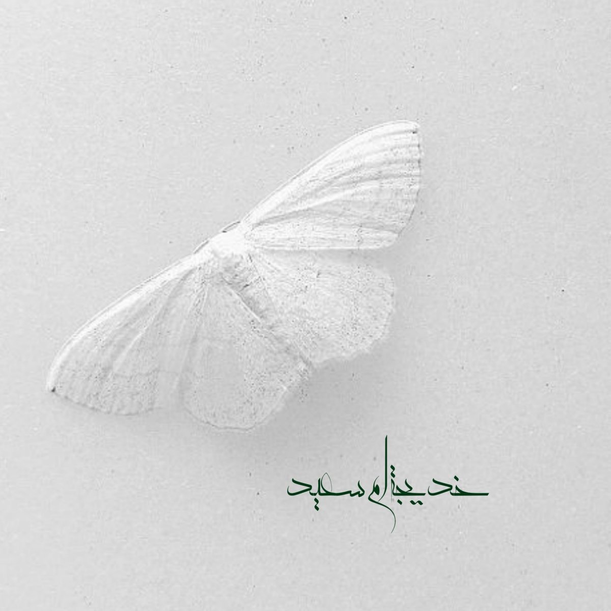 Обои на рабочий стол цветы красивые