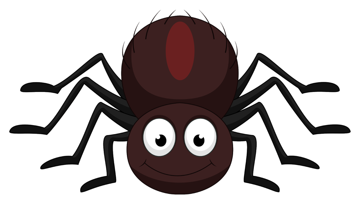 Паучок рисунок