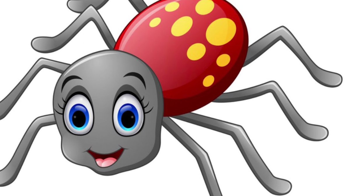 Паучок мультяшный