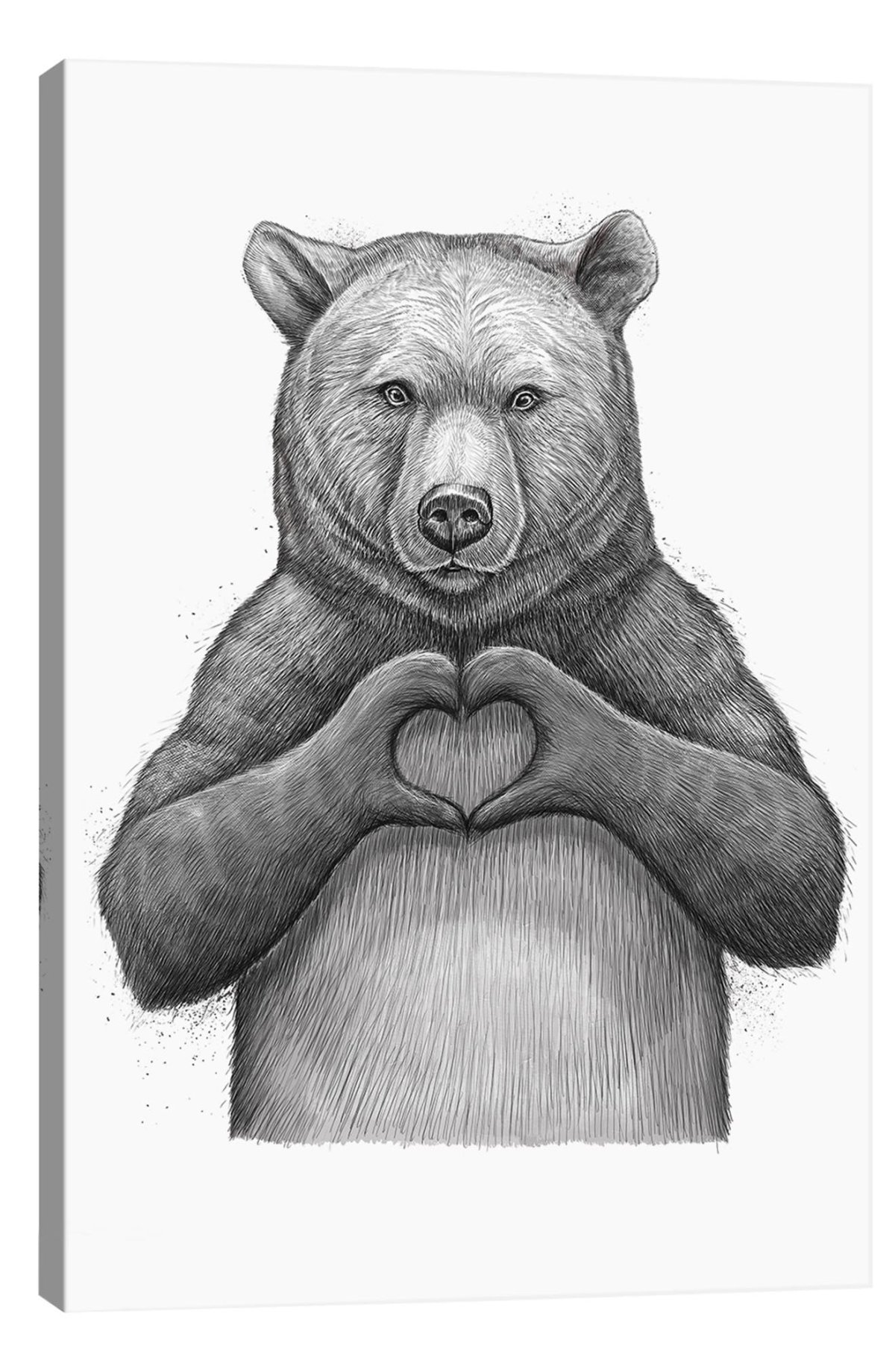 Медведь эскиз