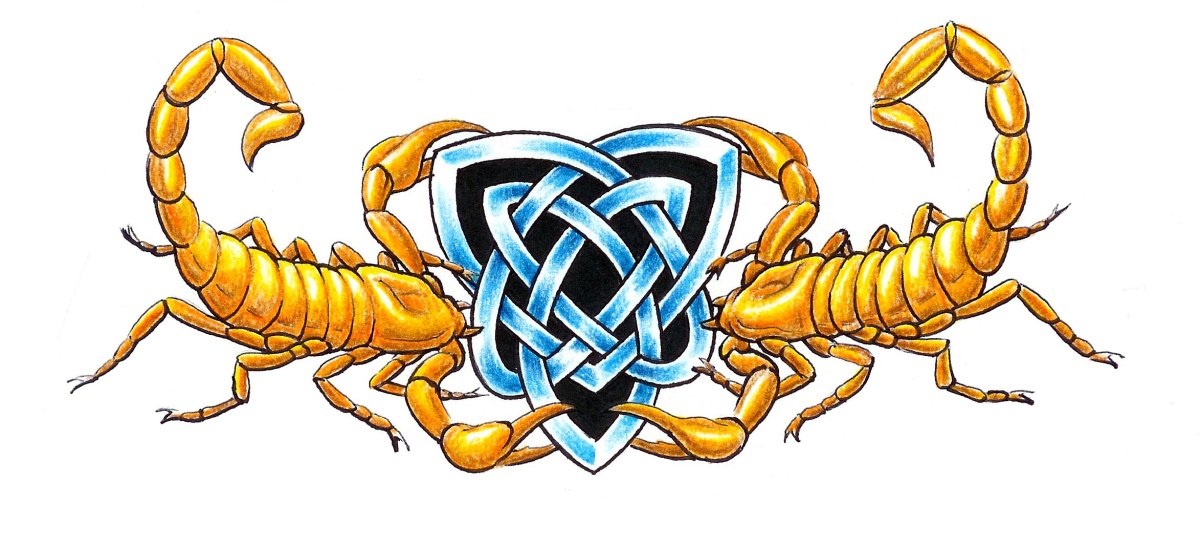 Скорпион акварель