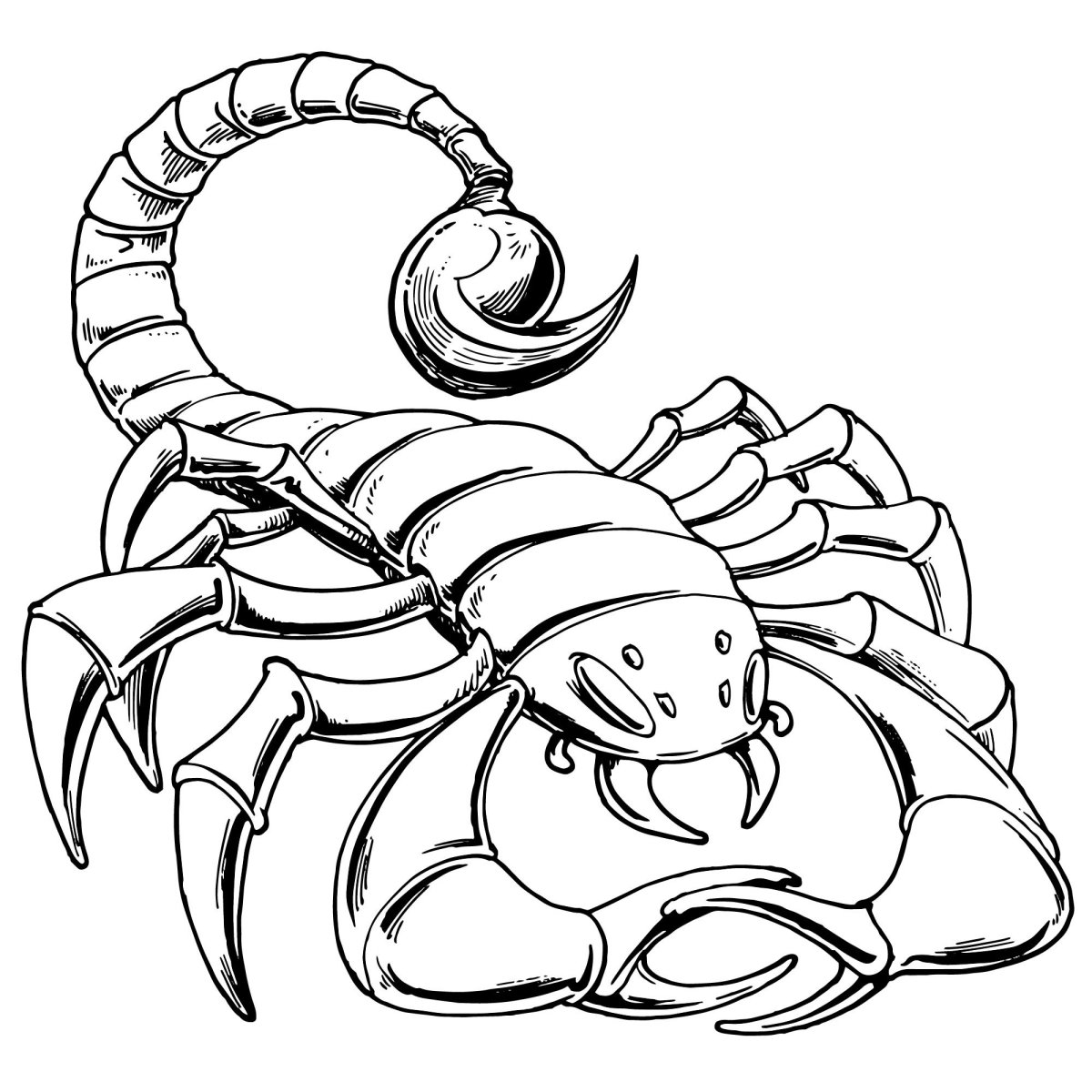 Скорпион рисунок