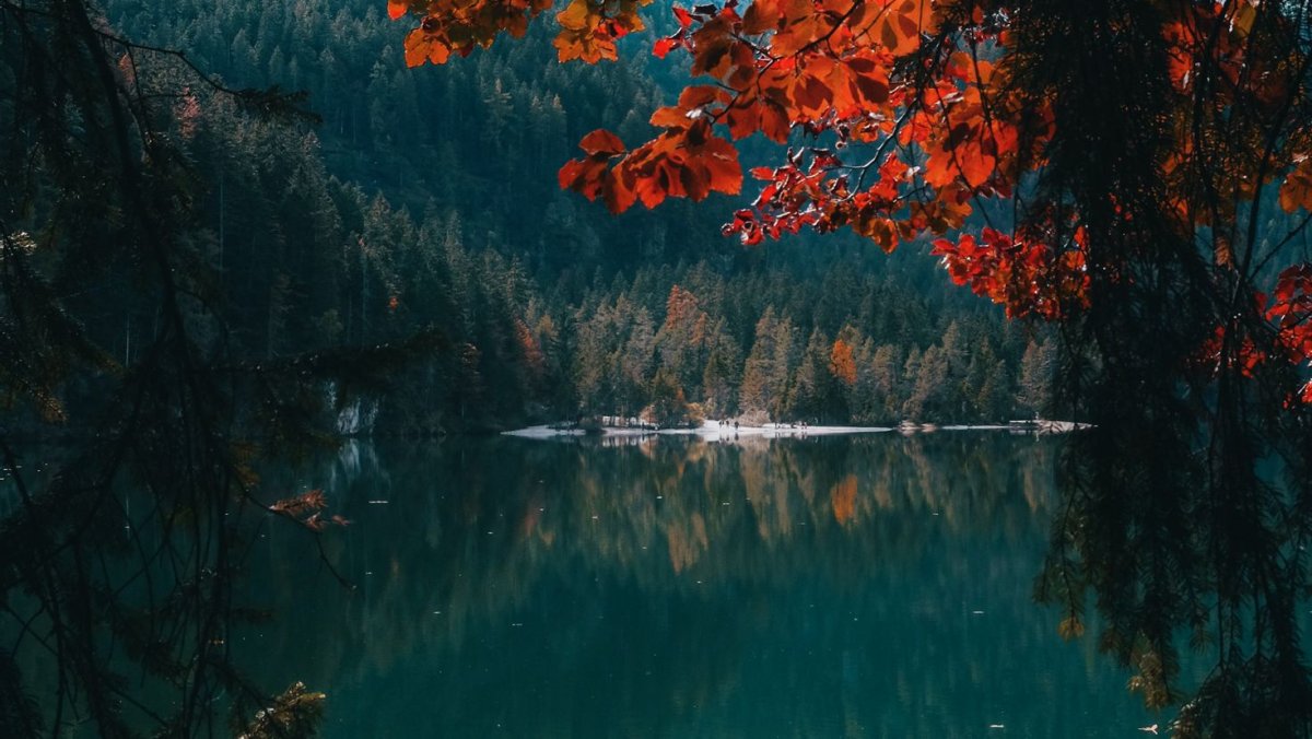 Лес с озером и горы в дождь