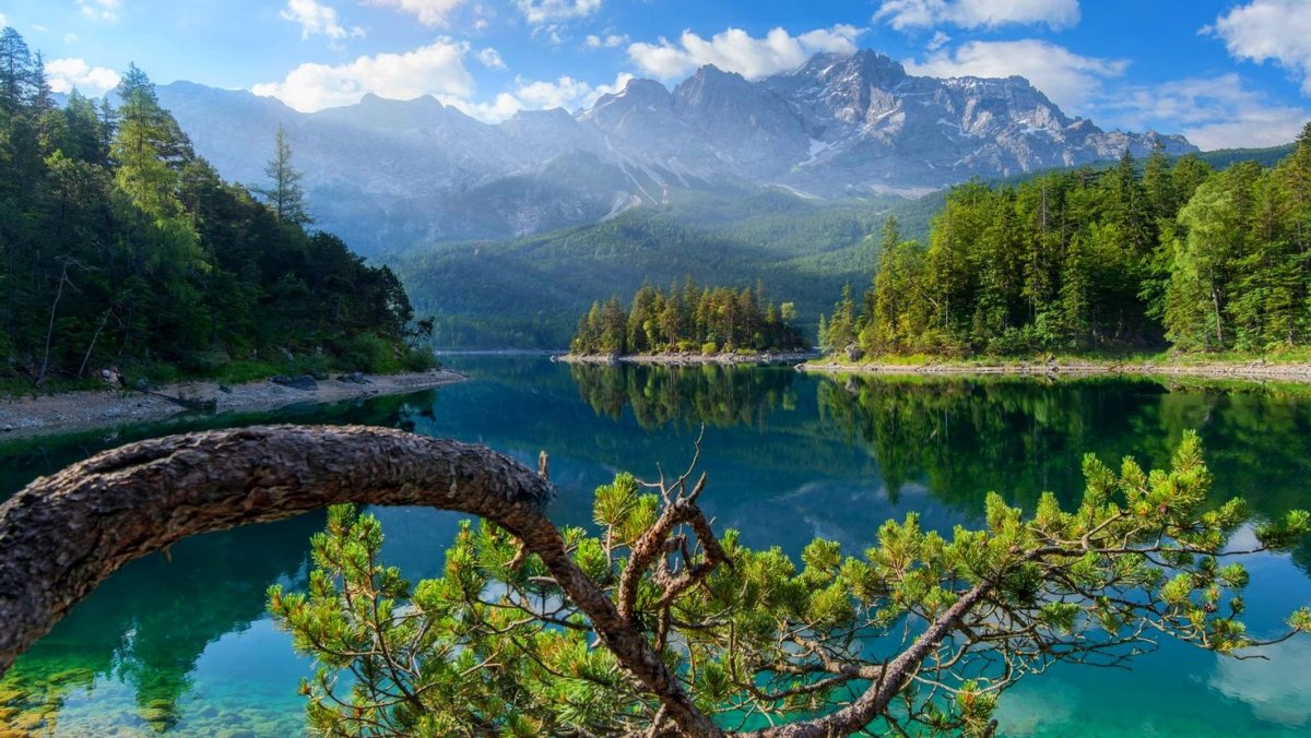 Лес горы штат Монтана домик у озера