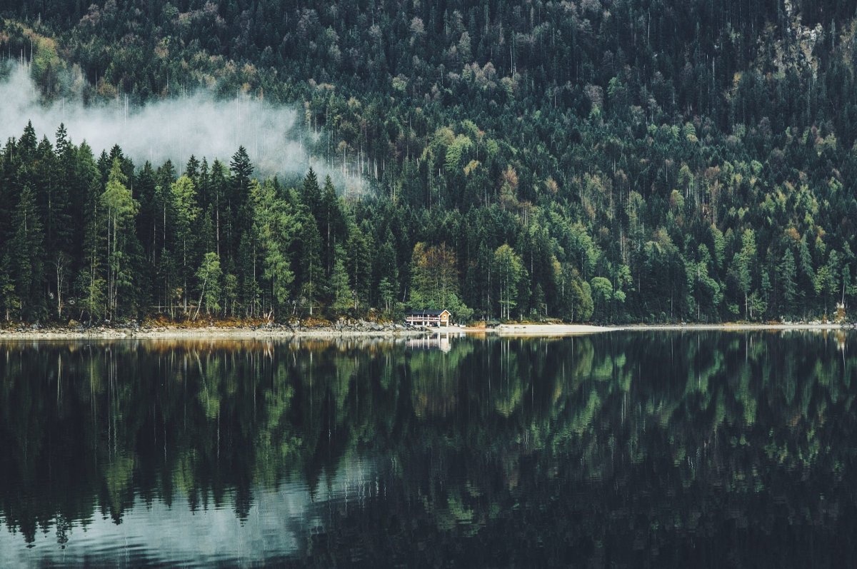 Озеро в лесу