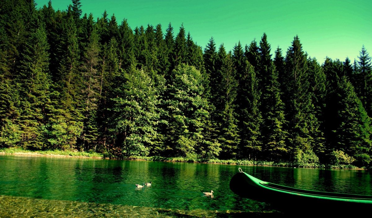 Озеро светлое Воскресенск