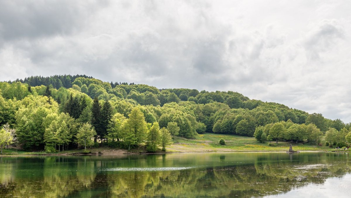 Шварцвальд озеро