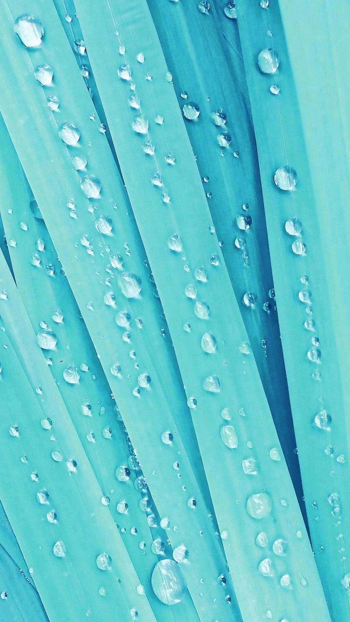 Цветочный фон вертикальный