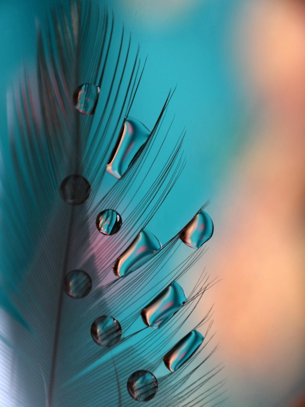 Картинки на рабочий стол телефона вертикальные